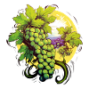 Grappes de raisin et payage