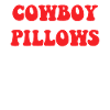 Cowboy Pillows
