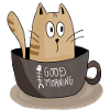 Morning Cat