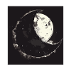 THE MOON