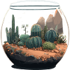 Faunarium cacti cactus glass