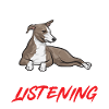 Italian Greyhound Greyhound Dogs