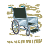 Rollstuhl Rollstuhlfahrer