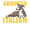 Italian Greyhound Greyhound Dogs