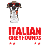Lévrier italien Greyhound Chiens