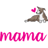 Lévrier italien Greyhound Chiens