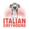 Italian Greyhound Greyhound Dogs