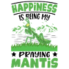Gottesanbetterin Glück Mantis