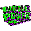 TMNT Mutant Mayhem Turtle Power With Flash