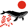 Right whale and red sun