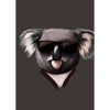 Koala mit Sonnenbrille