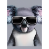 Koala mit Sonnenbrille