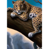 Leopard liegt auf Baum