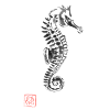 sea horse