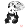 panda in the rain
