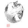 Round Cat