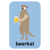 Beerkat