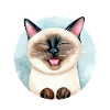 Katze im Kreis