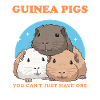 Guinea Pig Owner Guinea Pig Gift