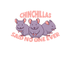 Idée cadeau Chinchilla Lover