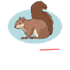 Cute Squirrel Squirrel Gift