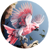 Flying Galah