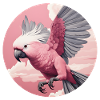 Cacatoès volant