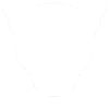 Léopard / Tête / Graphique / Blanc
