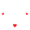 Team De La Mariée