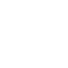 Game Developer