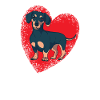 Dog Dachshund Dog Owner Gechenkidee