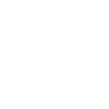 Basketball Basketball Player Silhouette