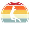Badminton Federball