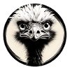 Black and White Ostrich