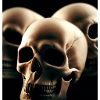 Toten kopf disgn