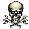 Test totenkopf