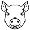 Pig Piggy Sow