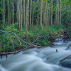 Rivière des