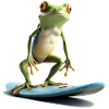 Frog surfing