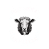 Schafflüsterer - Schaf Silhouette