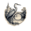 Majestic grey heron