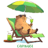 Caipibara Summer Capybara Motif