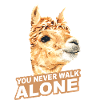 Alpaca