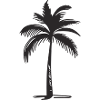 Palme