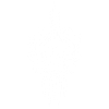 White skull and tattoo