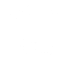 Original 100% Theo