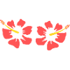 Hibiscus.Hibiscus Blossoms Hawaiian Flower Holiday Outfit