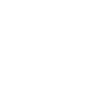 Alligator