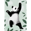 Panda zwischen Blättern