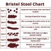 Bristol Scale Bristol Stool Chart